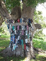 Community Thong Tree